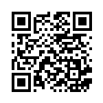 [SMJ]エレキパワー（プレミアムトレーナーボックス TAG TEAM 016/035 トレーナーズ グッズ ）[SMJ016] QRコード