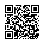 [SMJ]シロナ（プレミアムトレーナーボックス TAG TEAM 028/035 トレーナーズ サポート ）[SMJ028] QRコード