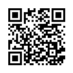 [SMJ]デンジ（プレミアムトレーナーボックス TAG TEAM 029/035 トレーナーズ サポート ）[SMJ029] QRコード