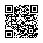 [SML]スーパーボール（ファミリーポケモンカードゲーム 041/051 トレーナー グッズ ）[SML041] QRコード