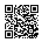 [SPZ]ハイパーボール（VSTAR&VMAX ハイクラスデッキ ゼラオラ 009/020  ）[SPZ009] QRコード