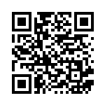 [SPZ]葉隠れポンチョ（VSTAR&VMAX ハイクラスデッキ ゼラオラ 013/020  ）[SPZ013] QRコード