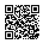 [SPZ]シロナの覇気（VSTAR&VMAX ハイクラスデッキ ゼラオラ 017/020  ）[SPZ017] QRコード