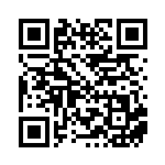 [SV-P]基本炎エネルギー（SVプロモ 038/SV-P エネルギー 炎 ）[SV-P038] QRコード