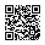 [SV-P]基本雷エネルギー（SVプロモ 040/SV-P エネルギー 雷 ）[SV-P040] QRコード