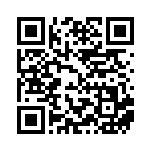 [SV-P]タギングルex（SVプロモ 088/SV-P 無 ）[SV-P088] QRコード