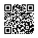 [SV-P]基本炎エネルギー（SVプロモ 101/SV-P エネルギー 炎 ）[SV-P101] QRコード