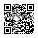 [SV-P]ポリゴン2（SVプロモ 116/SV-P 無 ）[SV-P116] QRコード