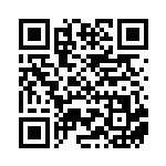 [SV-P]かるいし（SVプロモ 138/SV-P トレーナーズ ポケモンのどうぐ ）[SV-P138] QRコード