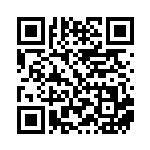 [SV-P]勇気のおまもり（SVプロモ 145/SV-P トレーナーズ ポケモンのどうぐ ）[SV-P145] QRコード