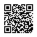 [SV-P]すごいつりざお（SVプロモ 167/SV-P トレーナーズ グッズ Gレギュ）[SV-P167] QRコード