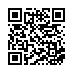 [SV-P]トウホクのピカチュウ（SVプロモ 260/SV-P  ）[SV-P260] QRコード