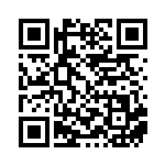 [SV-P]基本炎エネルギー（SVプロモ 281/SV-P エネルギー 炎 ）[SV-P281] QRコード