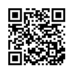 [SV-P]ピカチュウ（SVプロモ 291/SV-P  ）[SV-P291] QRコード