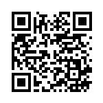 [SV10]RR レジロックex（熱風のアリーナ 055/098 Iレギュ）[SV10055] QRコード