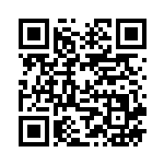 [SV10]RR ロケット団のクロバットex（熱風のアリーナ 066/098 Iレギュ）[SV10066] QRコード