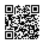 [SV10]SAR ロケット団のファイヤーex（熱風のアリーナ 124/098 Iレギュ）[SV10124] QRコード