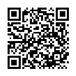 [SV11B]C ゴビット（ブラックボルト 45b/098 Iレギュ マスターボール柄）[SV11B045b] QRコード