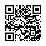 [SV1S]RR サーナイトex（スカーレットex 028/078  ）[SV1S028] QRコード