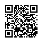 [SV1S]R ルチャブル（スカーレットex 045/078  ）[SV1S045] QRコード