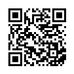 [SV2D]R ミカルゲ（クレイバースト 028/071  ）[SV2D028] QRコード