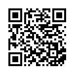 [SV2D]RR ディンルーex（クレイバースト 049/071  ）[SV2D049] QRコード