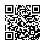 [SV2D]SR ディンルーex（クレイバースト 088/071  ）[SV2D088] QRコード