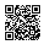 [SV2D]SAR デカヌチャンex（クレイバースト 093/071  ）[SV2D093] QRコード