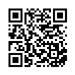 [SV2D]SAR ディンルーex（クレイバースト 094/071  ）[SV2D094] QRコード