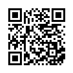 [SV2P]RR ヤドキングex（スノーハザード 030/071  ）[SV2P030] QRコード