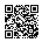 [SV3a]RR ガブリアスex（レイジングサーフ 006/063 ）[SV3a006] QRコード