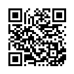 [SV3a]C チョンチー（レイジングサーフ 012/063 ）[SV3a012] QRコード