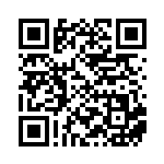 [SV3a]UR ビーチコート（レイジングサーフ 091/063 トレーナーズ ）[SV3a091] QRコード