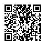 [SV4a]リザード（シャイニートレジャーex 026/190 炎 ）[SV4a026] QRコード