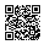 [SV4a]R エンテイ（シャイニートレジャーex 028/190 炎 ）[SV4a028] QRコード