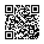 [SV4a]R ボルトロス（シャイニートレジャーex 063/190 雷 ）[SV4a063] QRコード