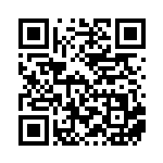 [SV4a]R ストリンダー（シャイニートレジャーex 065/190 雷 ）[SV4a065] QRコード