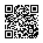 [SV4a]R ルチャブル（シャイニートレジャーex 106/190 闘 ）[SV4a106] QRコード