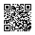 [SV4a]RR キラフロルex（シャイニートレジャーex 111/190 闘 ）[SV4a111] QRコード