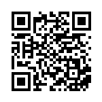 [SV4a]R ブロロローム（シャイニートレジャーex 131/190 鋼 ）[SV4a131] QRコード