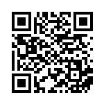 [SV4a]RR テツノワダチex（シャイニートレジャーex 132/190 鋼 ）[SV4a132] QRコード