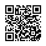 [SV4a]RR オンバーンex（シャイニートレジャーex 135/190 竜 ）[SV4a135] QRコード