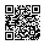 [SV4a]RR ピジョットex（シャイニートレジャーex 139/190 無 ）[SV4a139] QRコード