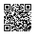 [SV4a]はげましのてがみ（シャイニートレジャーex 162/190 トレーナーズ グッズ ）[SV4a162] QRコード