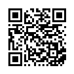 [SV4a]岩のむねあて（シャイニートレジャーex 164/190 トレーナーズ ポケモンのどうぐ ）[SV4a164] QRコード