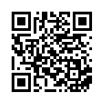 [SV4a]ネルケ（シャイニートレジャーex 175/190 トレーナーズ サポート ）[SV4a175] QRコード