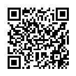 [SV4a]ネルケ（シャイニートレジャーex 175/190 トレーナーズ サポート ）[SV4a175] QRコード