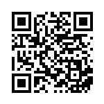 [SV4a]R ボスの指令[ゲーチス]（シャイニートレジャーex 181/190 トレーナーズ サポート ）[SV4a181] QRコード