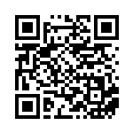 [SV4a]S エンテイ（シャイニートレジャーex 213/190 炎 ）[SV4a213] QRコード