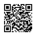 [SV4a]S ピカチュウ（シャイニートレジャーex 236/190 雷 ）[SV4a236] QRコード